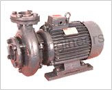 Monoblock Centrifugal Pumps 